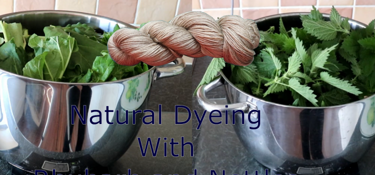 Natural Yarn Dyeing with Rhubarb Leaves and Nettles